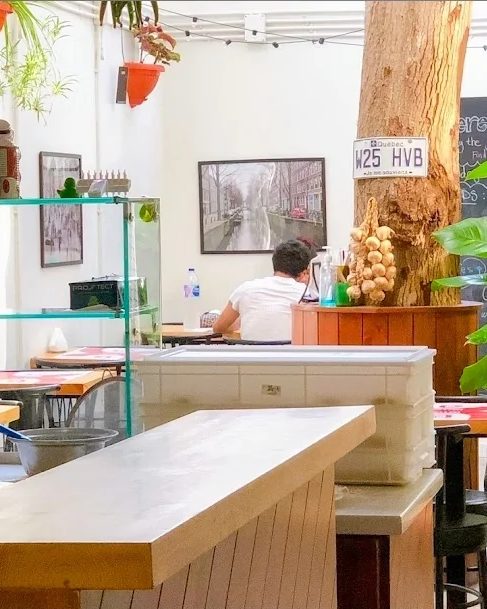 Sunlit seating and greenery at What the Crust in Maadi